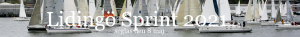 LidingöRunt-banner-2021.png