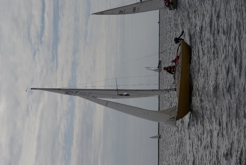 2592x3872 2.2 MB