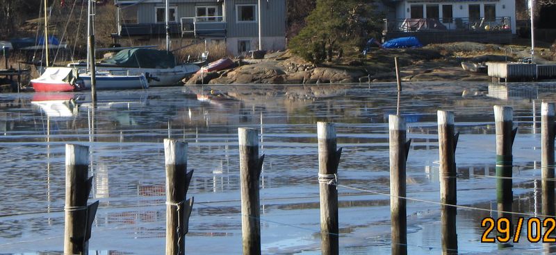 Min Debutanten ligger fortfarande infrusen